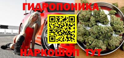 стаф Рыбинск