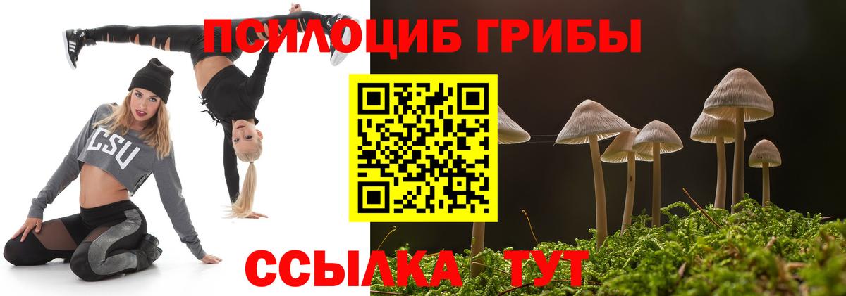 Галлюциногенные грибы GOLDEN TEACHER  Галлюциногенные грибы Magic Shrooms  Полевской  Вход с VPN 